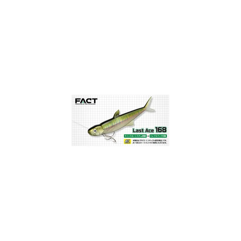 Offre Du Jour EVERGREEN LAST ACE 168