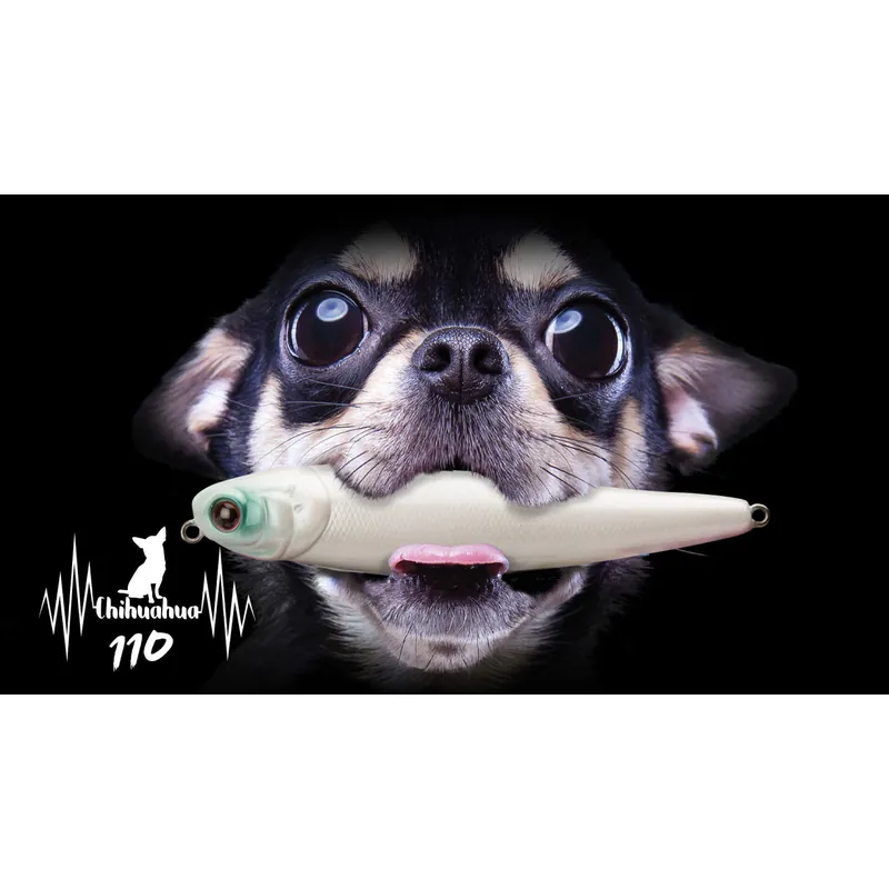 CHIHUAHUA 110 F Meilleure Vente