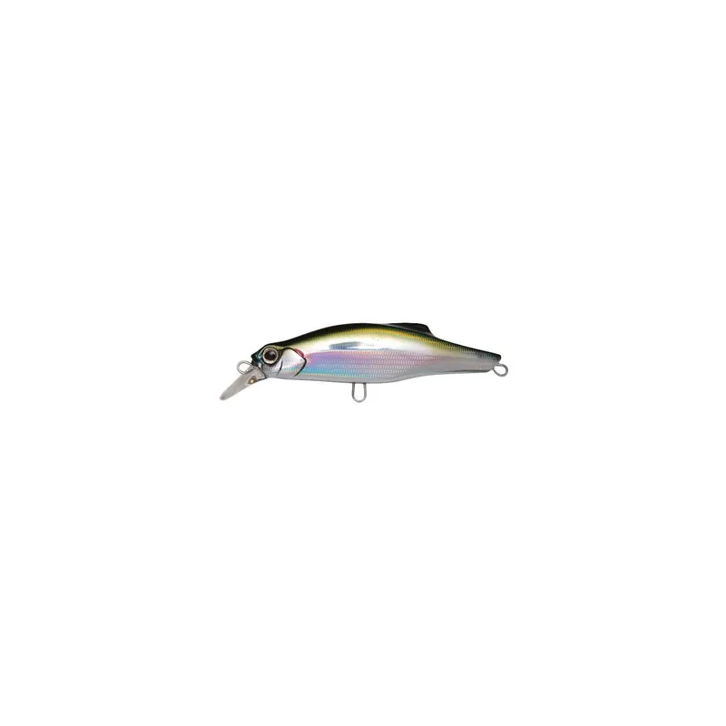 Bon Plan JACKSON PINTAIL 48