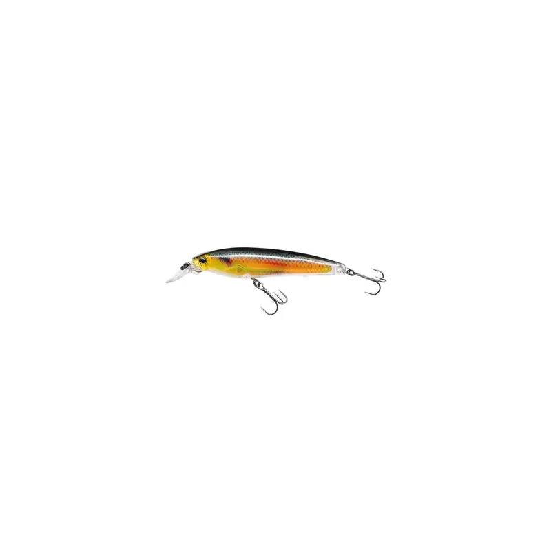 Promotion Saisonnière YO-ZURI 3DR MINNOW (70 & 100 SP)
