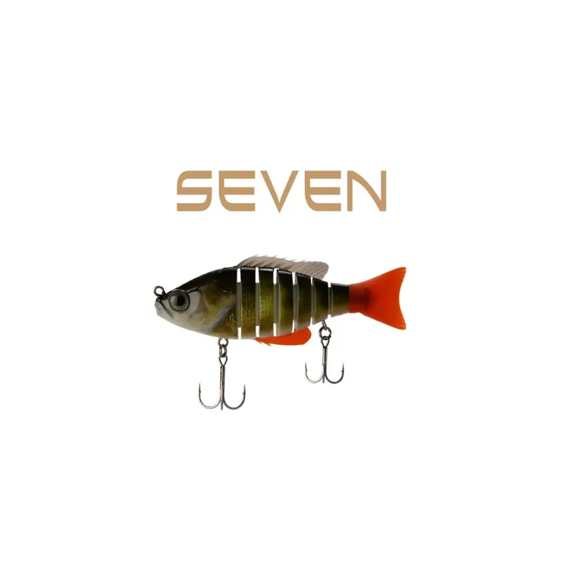 BIWAA SEVEN 4‘‘ Expédition Rapide