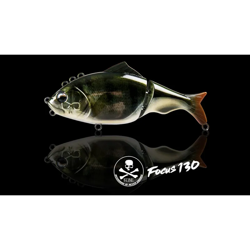 Nouvelle Collection BONE FOCUS 130