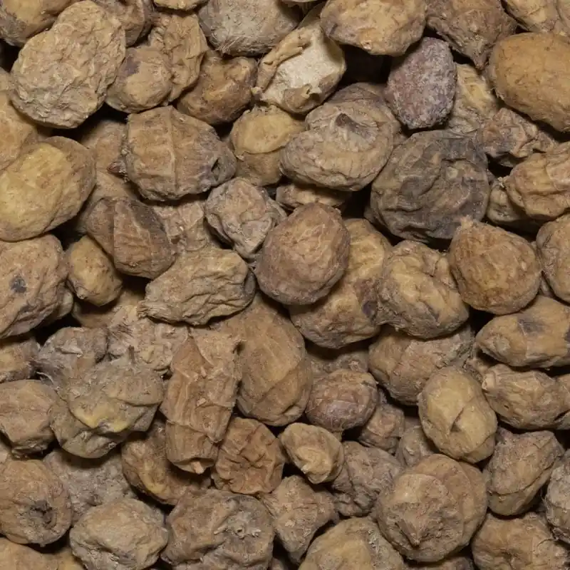 Graines Tigernuts Amorçage 8-12mm Satisfait Ou Remboursé