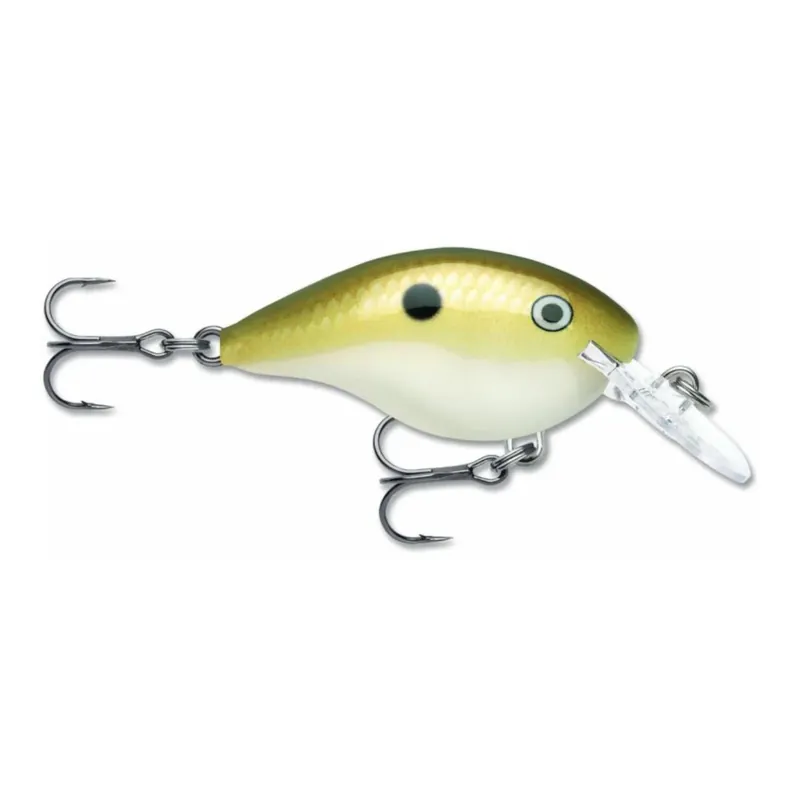 Rapala DIVES-TO DT - Wobbler Expédition Rapide