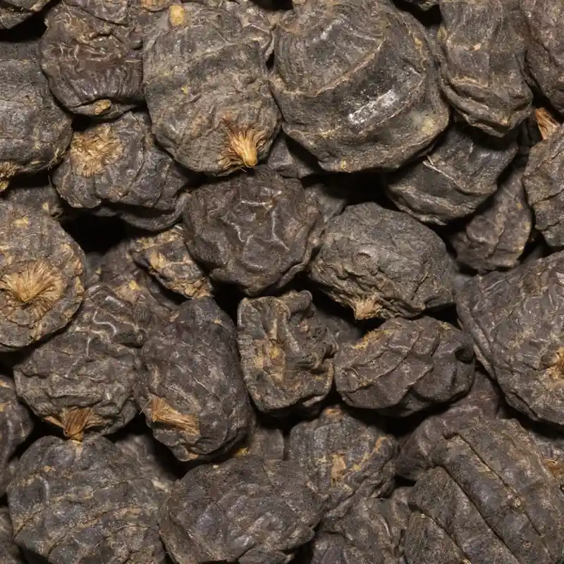 Affaire À Saisir Graines Tigernuts Black XXL 1kg