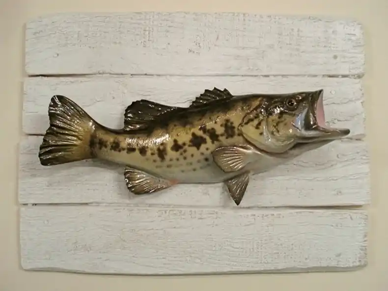 Dernière Chance Sculpture Black Bass sur Cadre