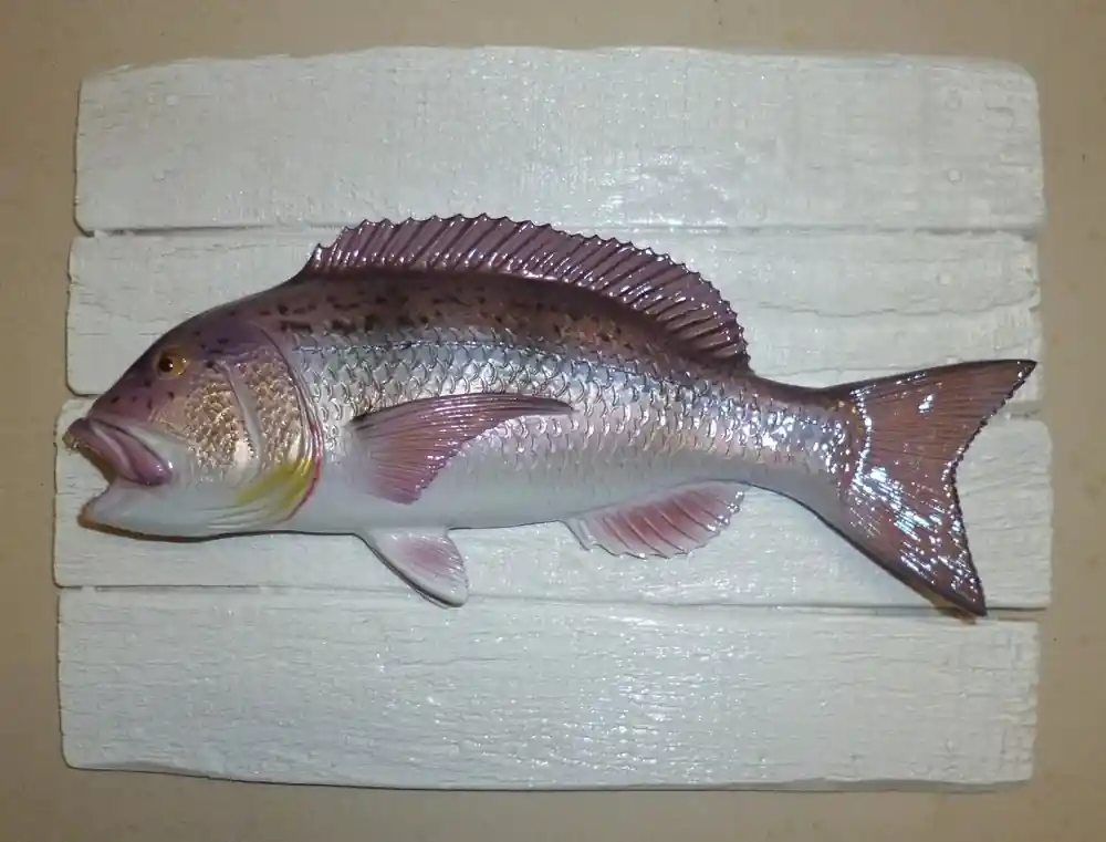 Sculpture Denti sur Cadre Quantité Limitée