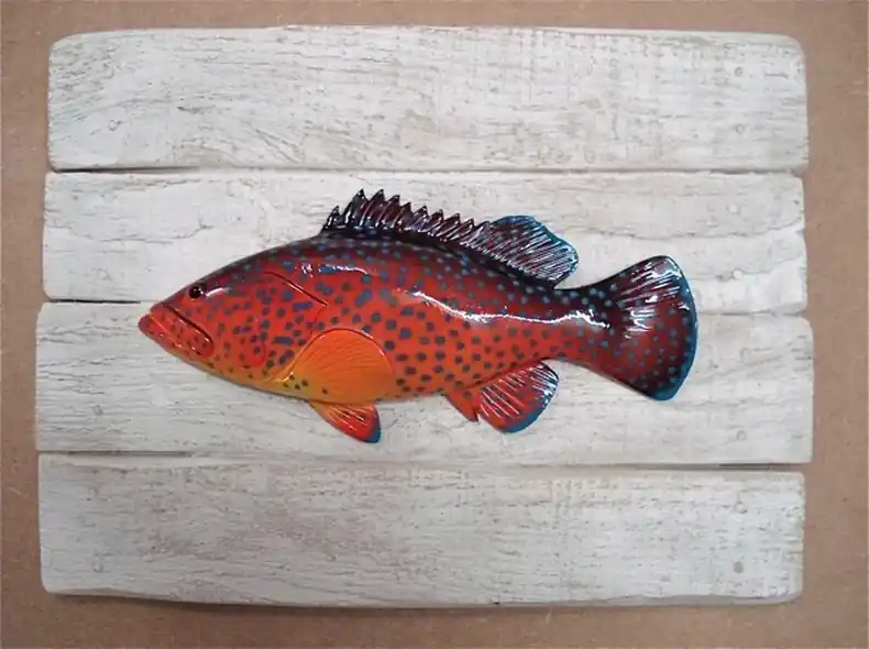 Sculpture Mérou de Corail sur Cadre Meilleure Vente