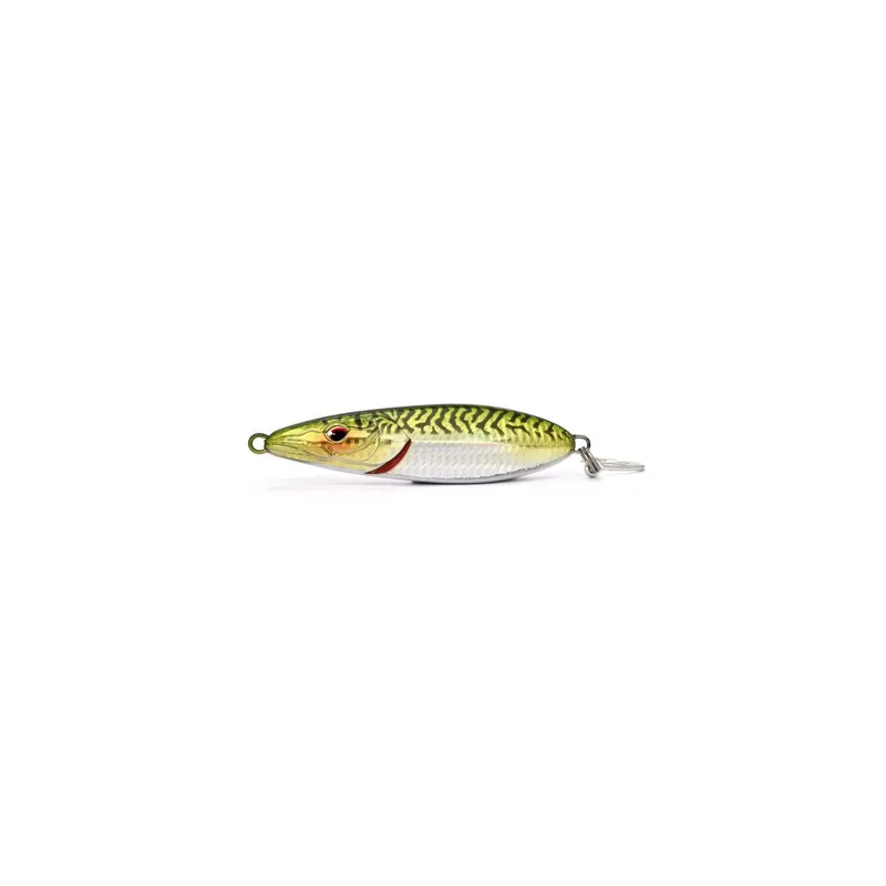 XORUS FLAPSTURIE Promotion Saisonnière