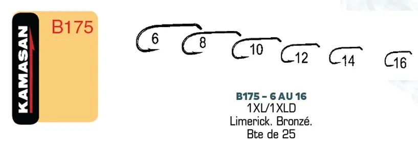 Dernier Modèle Hameçons KAMASAN B175 – Boite de 25 – H10