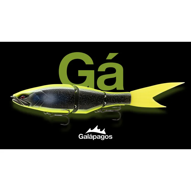 Dernier Modèle GALAPAGOS GRACE
