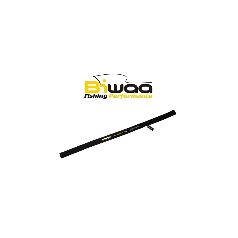 CANNE CASTING BIWAA THE DIVINATOR Dernier Modèle