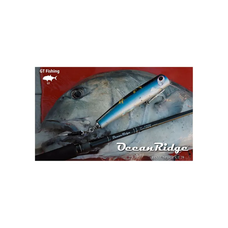 Usine Directe CANNE LANCER RIPPLE FISHER OCEAN RIDGE