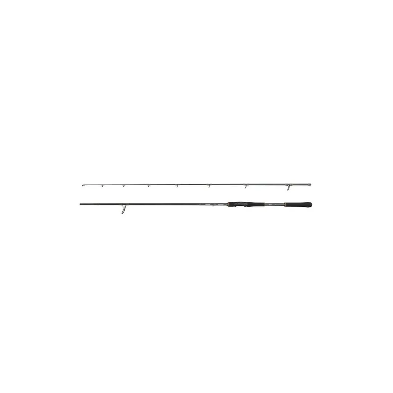 Bon Marché CANNE LANCER ABU GARCIA BEAST X2