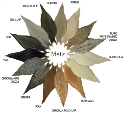 Prix Choc Saddle METZ Grade 2