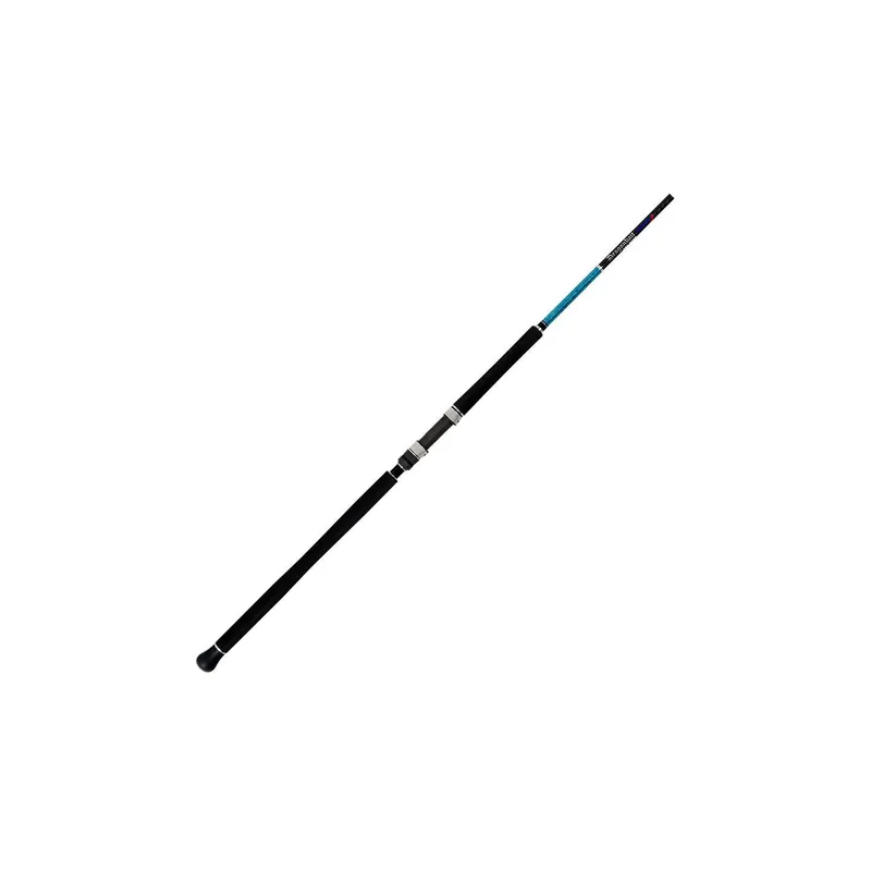 CANNES SMITH DRAGONBAIT SEABASS SHORE JIGGING Commander Maintenant