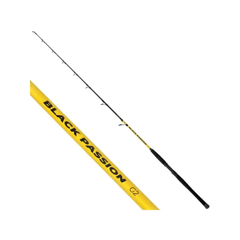 Expédition Rapide Canne BLACK CAT Black Passion G2 Vertical