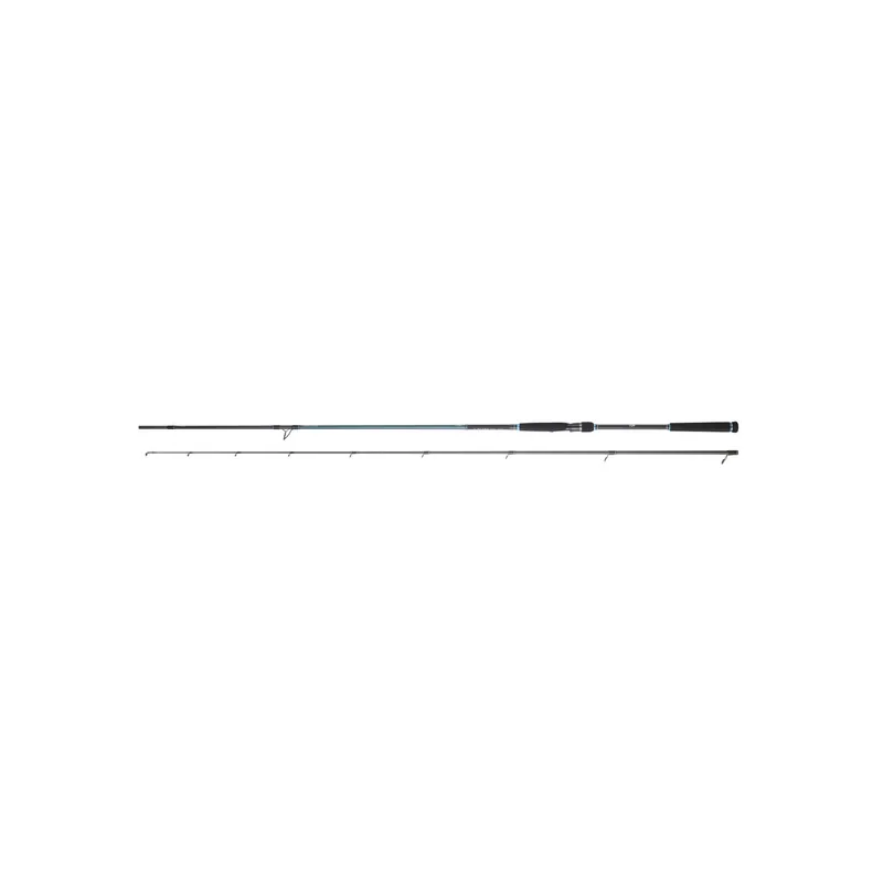 Top Vente CANNE LANCER DAIWA CALDIA SEABASS