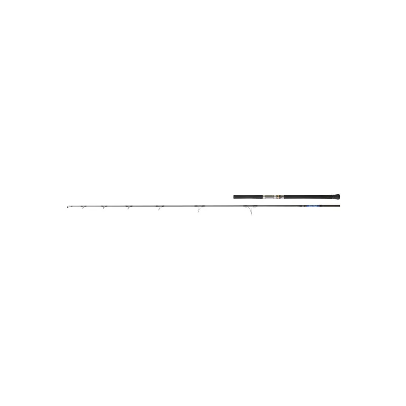 CANNE SPINNING DAIWA SALTIGA LANCER Promotion