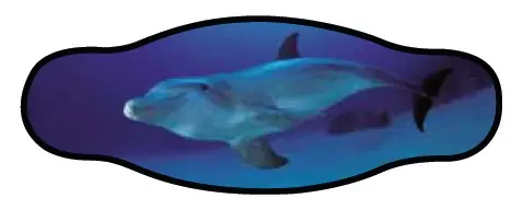 Sangle de masque néoprène – 1 Dolphin Commander Maintenant