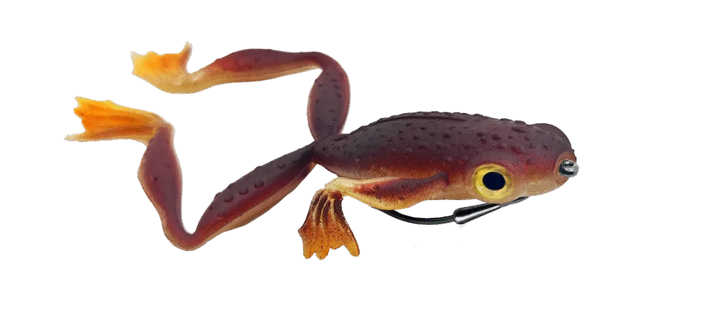 Retour Gratuit grenouille Delalande froggy