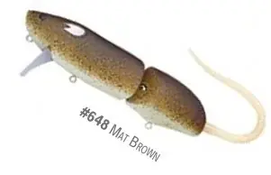 Quantité Limitée Evergreen combat rat mat brown