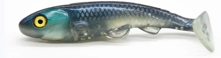 Réduction Bonibait happy slim 18cm
