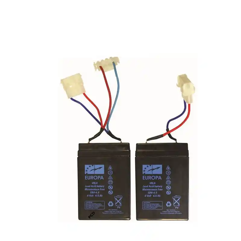 Jeu de 2 Batteries Plomb Pour Bateaux Amorceurs Anatec 6V 4,5A Solde