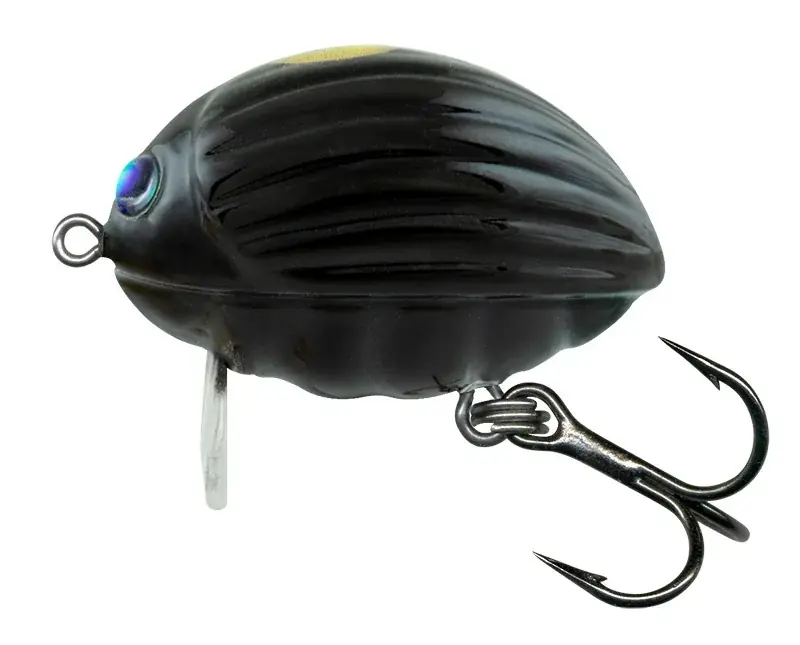 Dernier Modèle Salmo bg2