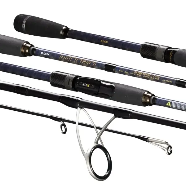 Expédition Rapide Illex nitro s 210m,silver scale