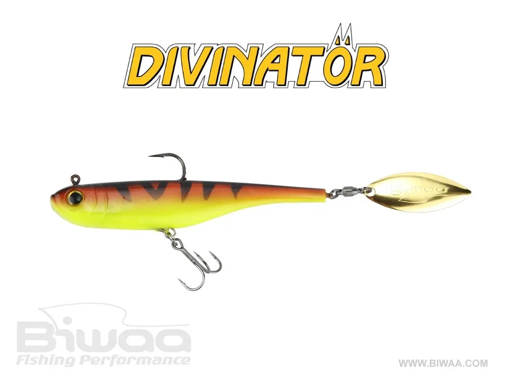 Divinator 35gr Prix Bas