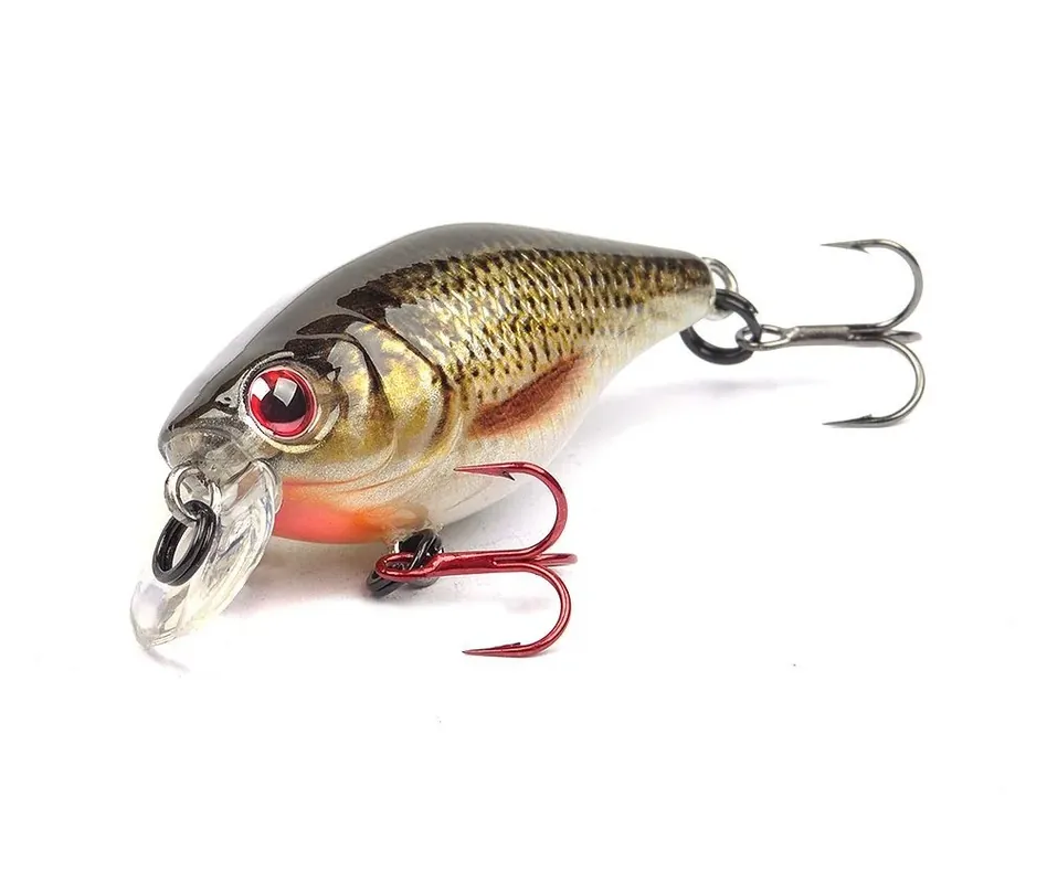Ikiru crank 38sl Offre Spéciale