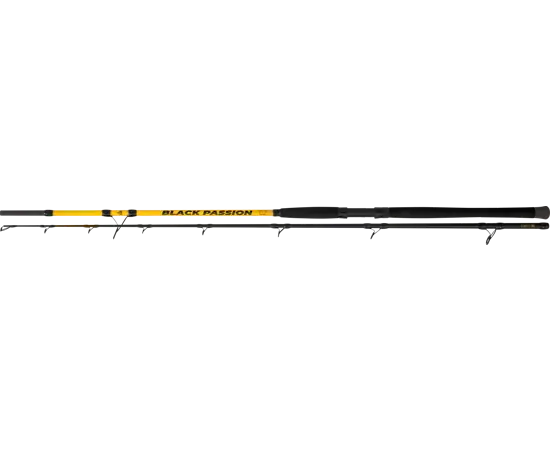 Black cat black passion,g2 allround 2,70m Prix Réduit