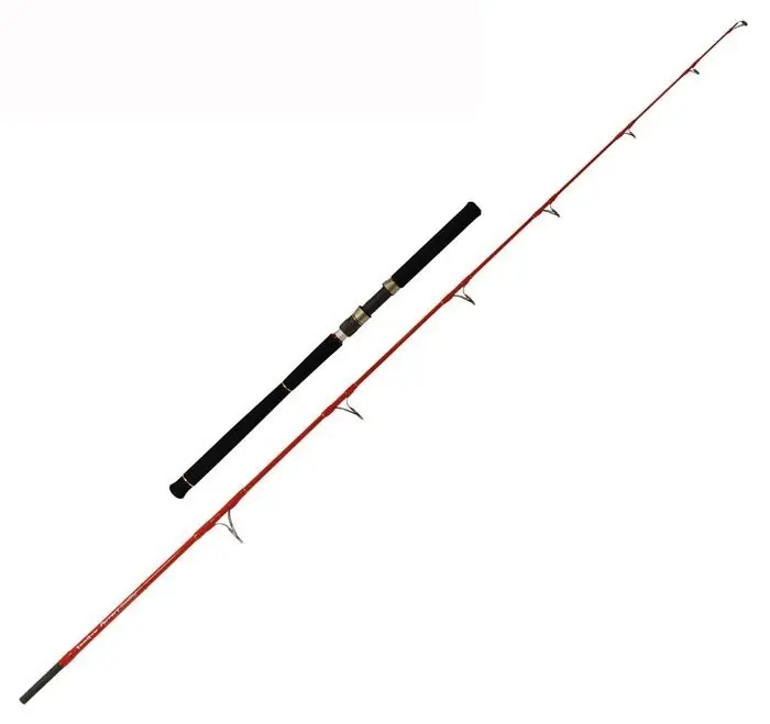 Nouvelle Collection Canne Mer TenRyu Furrary Racing 80 LB