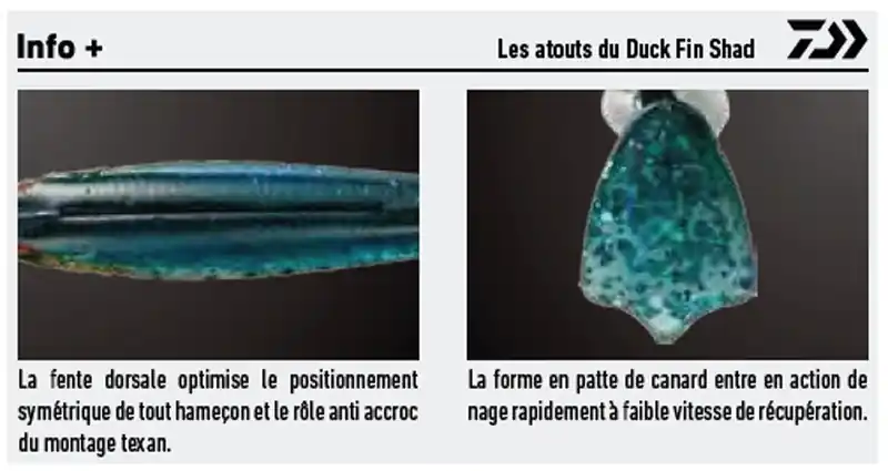 Leurre Souple Daiwa Duckfin Shad 6 cm 1 g Haute Qualité