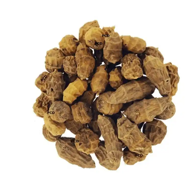 Produit De Marque Tigernuts Amorçage Cap River XXL 1KG