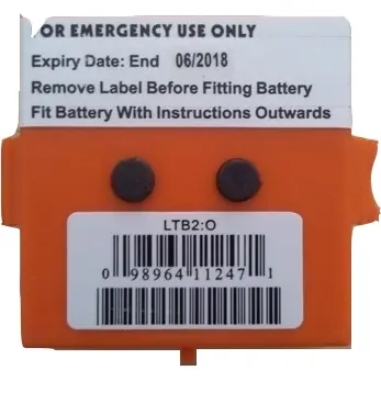 Batterie Mc Murdo lithium de rechange VHF R1 – LTB2 Seulement Aujourd&rsquo;hui