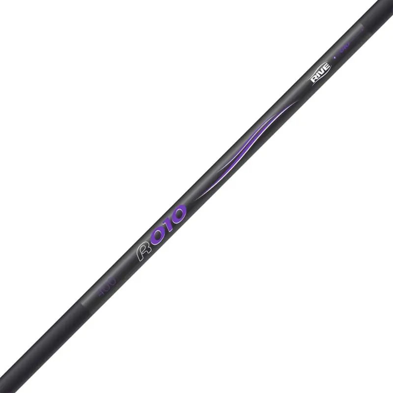 Promotion MANCHE D‘ÉPUISETTE R PRO ANGLER 4M RIVE