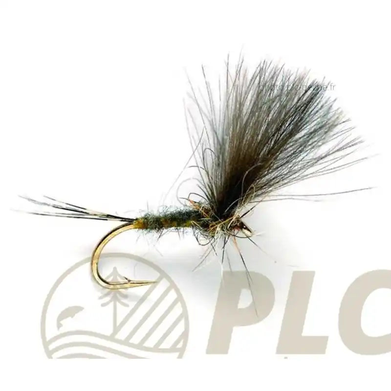 Offre Du Jour Mouche FULLING MILL CdC Olive Dun S16