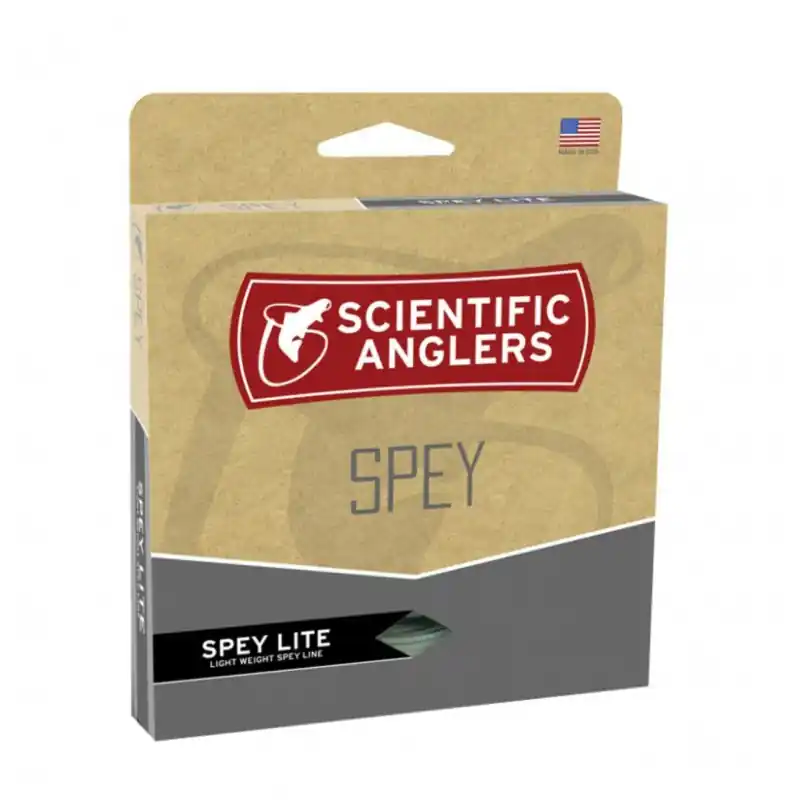 Soie Skagit lite Head SA Marque