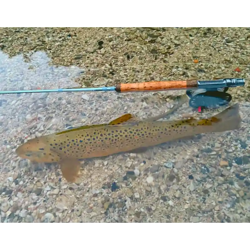 Nouvel Arrivage Stage de pêche à la mouche (3 pers.)