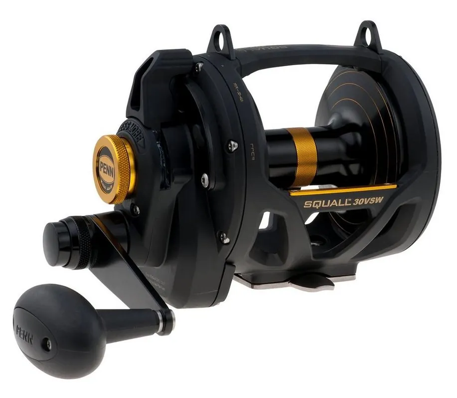 Commande En Gros Moulinet Traîne Penn Squall Lever Drag 2 Speed 30VSW