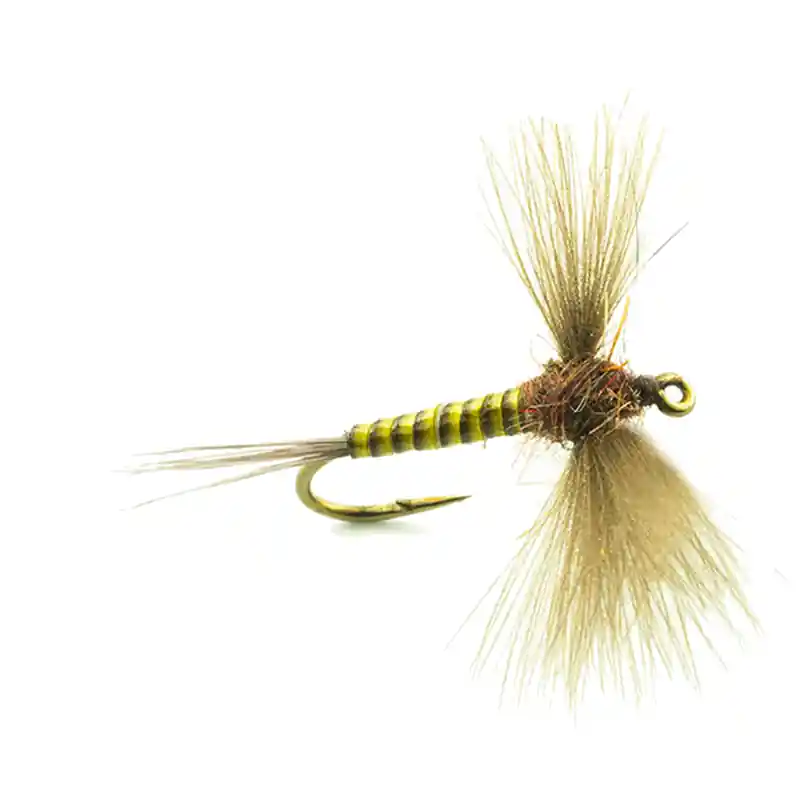 Mouche Devaux spent jbs02 Nouvelle Collection