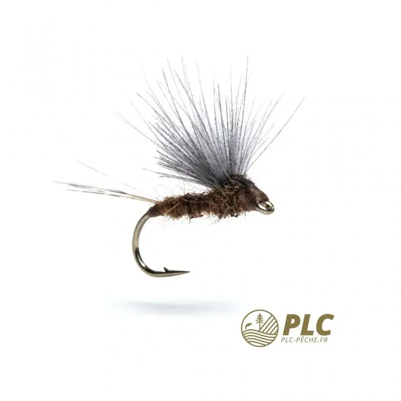 Petit Prix Mouche HOH Subimago 005