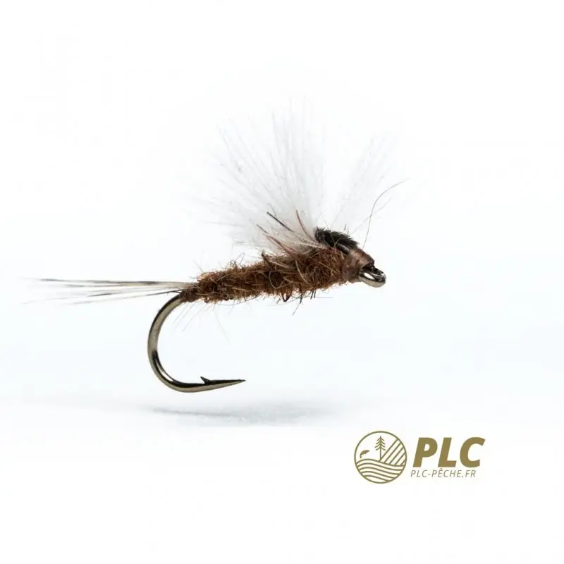 Petit Prix Mouche HOH Subimago 006