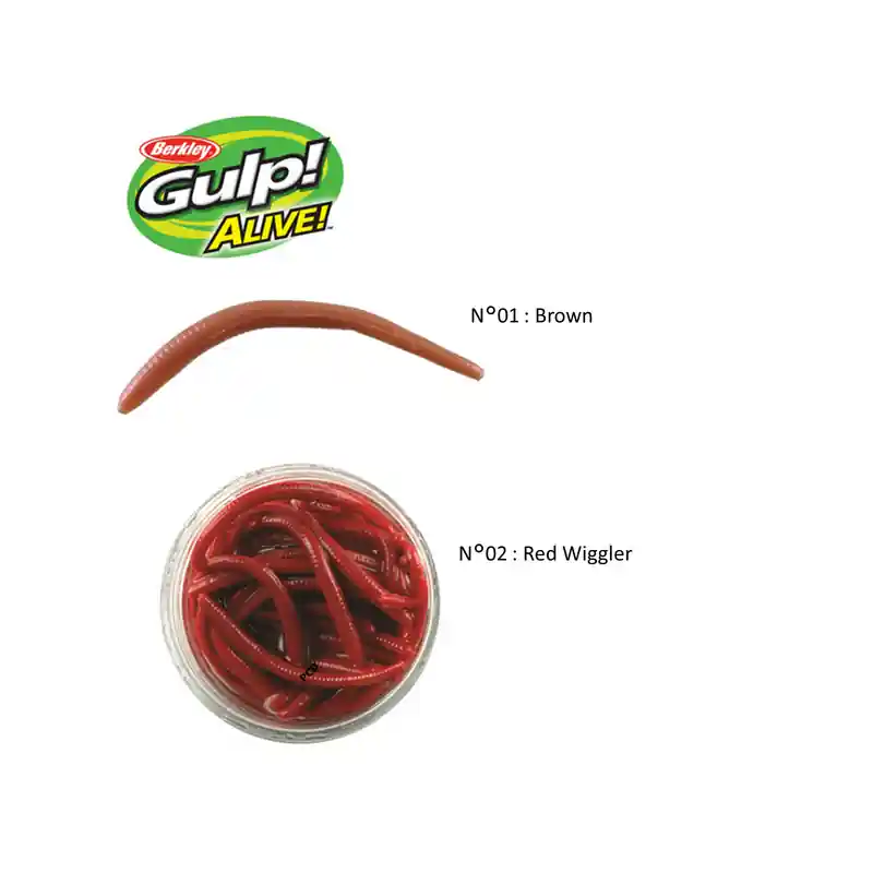 LEURRES GULP ALIVE ANGLE WORM Marque