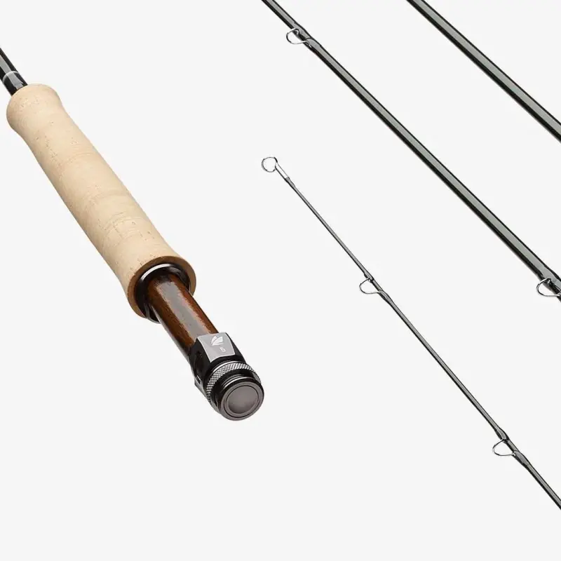 Canne à mouche SAGE R8 Core 8‘6 soie 5 Expédition Rapide