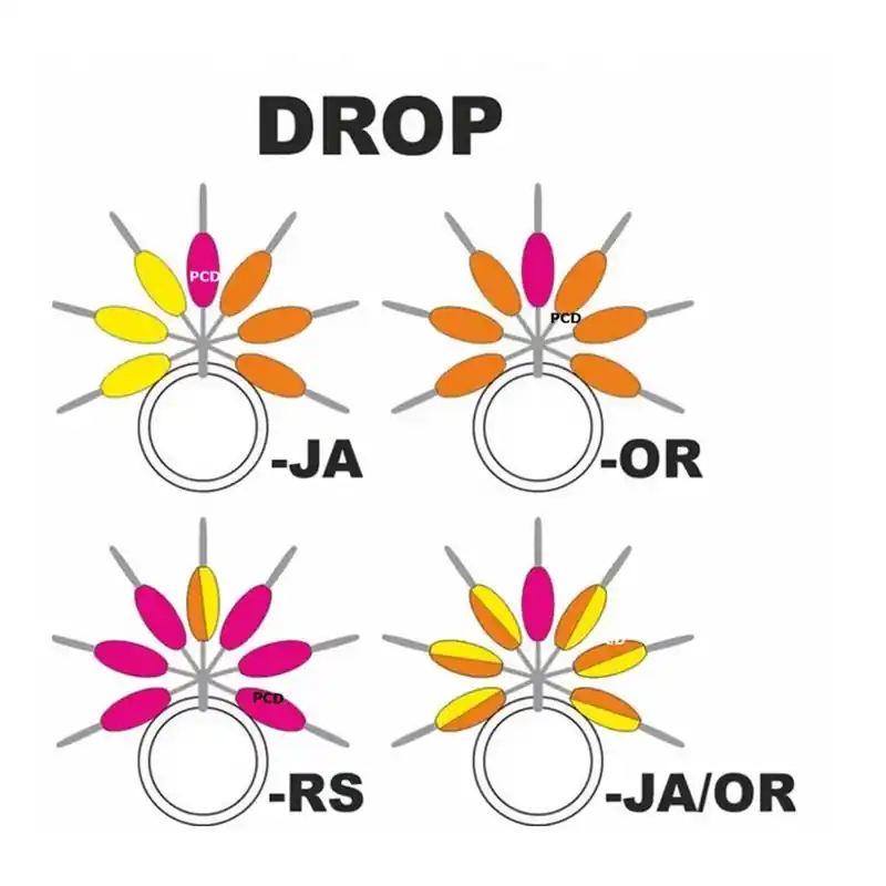 Repères De Ligne Streamline Drop Garbolino N°1 Par 7 Promotion