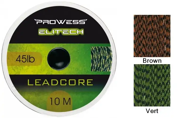 Haute Qualité Leadcore Prowess 10 m 45 lbs vert