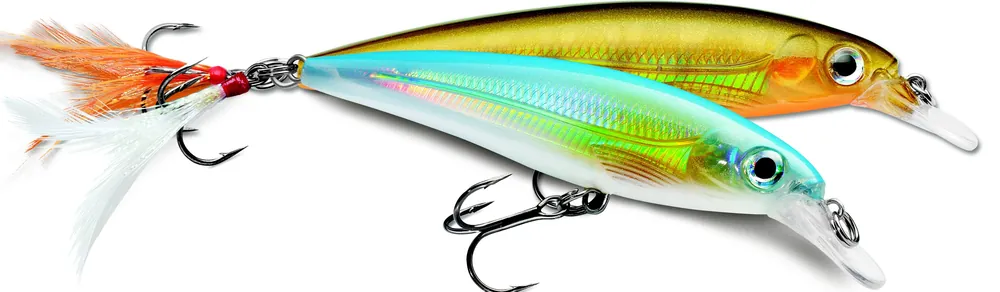 Leurre Rapala X-Rap 10 cm 13 gr Authentique
